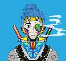 Zooks - Saiba Gang Author